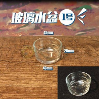 【臺灣出貨】爬蟲蜘蛛水盆食盆亞克力爬蟲箱蠍子守宮蜥蜴寵物玉米蛇造景玻璃杯 守宮 爬蟲 爬蟲飼養箱 陸龜 飼養箱