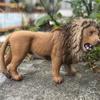 思樂schleich咆哮的公獅子雄獅仿真野生動物模型玩具
