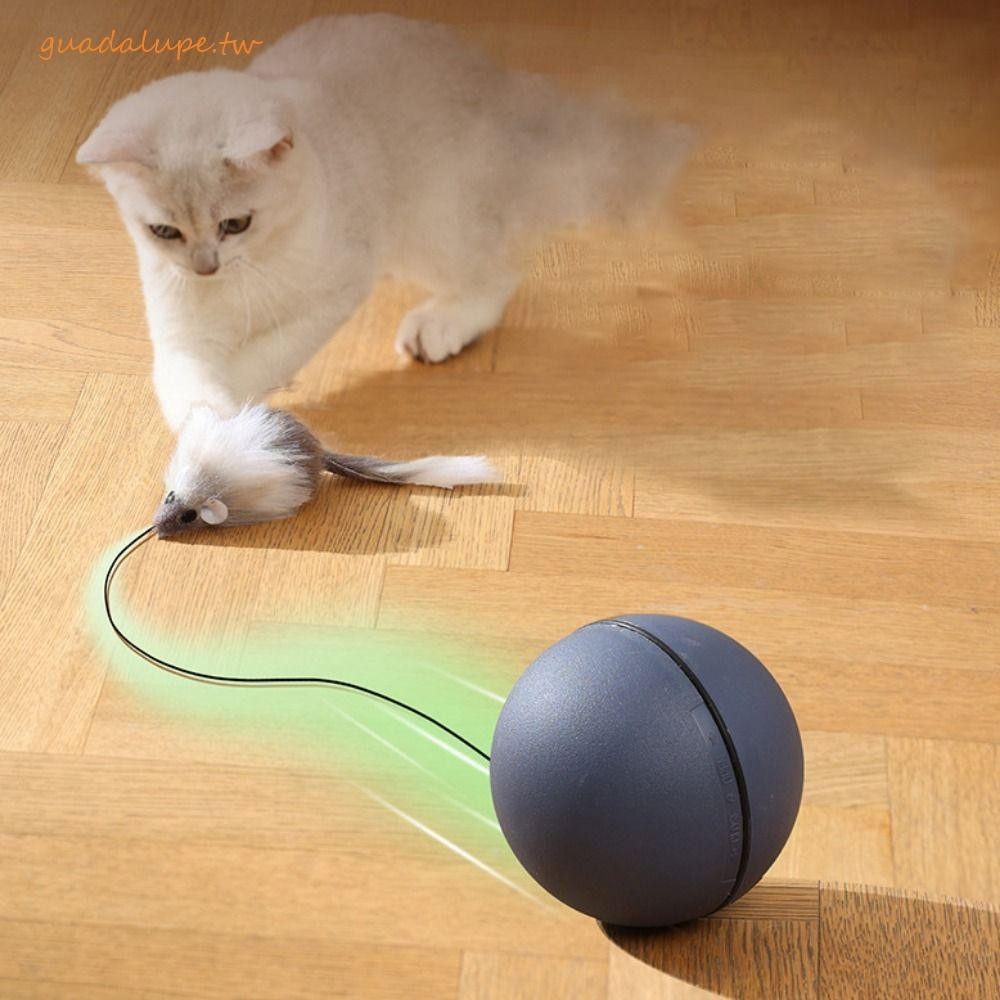 GUADALUPE貓預告片滾球,電動ABS貓玩具老鼠傳情球,耐咬耐磨用鼠標貓自動移動玩具解悶