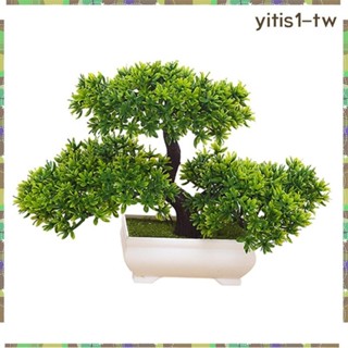 [YitisffTW] 人造盆景樹,小假植物娛樂裝飾盆栽日本樹人造植物壁爐,客廳