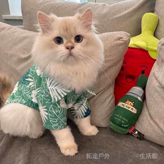 [好物推薦]貓咪衣服 夏季薄款 英短 美短 幼貓 夏天輕薄襯衫 寵物小狗狗衣服春秋款