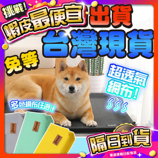 毛作屋【獨家聯名】P&P 寵物行軍床 飛行床 行軍床 寵物床 透氣床 架高床 狗床 狗窩 寵物床墊 毯子
