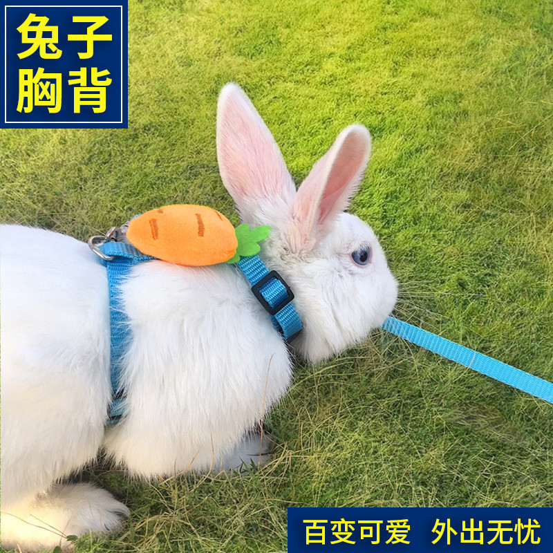 兔兔牽引繩外出防掙脫可調整溜兔繩工字型垂耳兔防咬侏儒兔小寵繩zhaocaiduo.sg