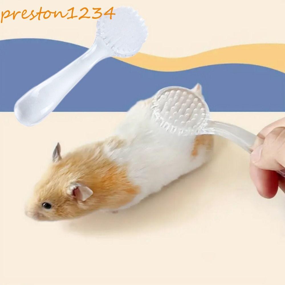 PRESTON小倉鼠刷,長頭髮塑料刺蝟洗澡刷,柔軟的毛刷軟圓頭倉鼠清潔刷豚鼠按摩梳修飾