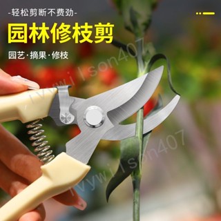臺灣【精選】出貨 果樹修枝粗枝剪刀園藝園林修花枝剪家用強力剪子神器手工剪鉗 新品