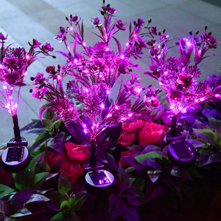 Led 太陽能花燈防水戶外蝴蝶蘭燈用於花園聖誕派對 DIY 裝飾