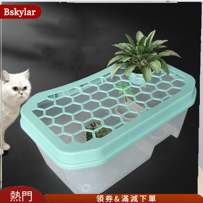 Bskylar 迷你龜缸帶曬台 5 區設計半透明龜箱棲息地養殖工具