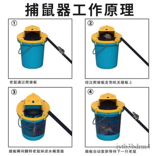 【✨現貨 宅配到府🚛】老鼠籠子 捕鼠器 老鼠神器 家用 連續超強 室內 新型 翻蓋撲捉器 陷阱夾籠子