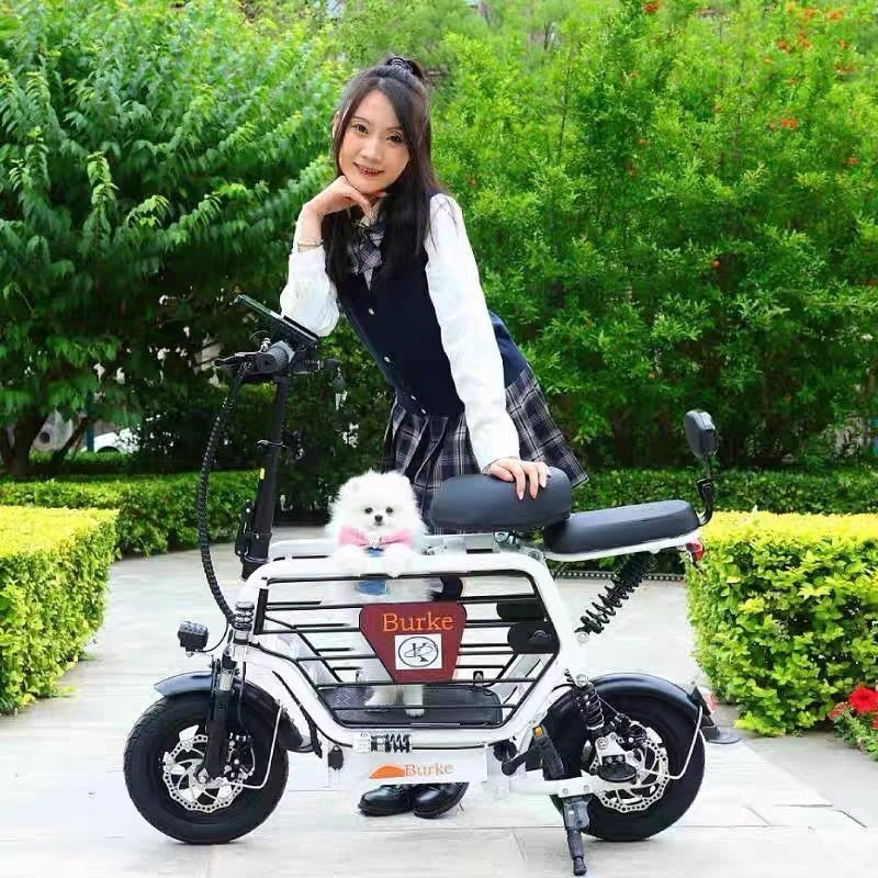 【臺灣專供】新國標鋰電池迷你折迭親子電動腳踏車小型超輕母子便攜電瓶單車女