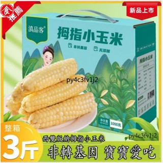 🌸🌸精選好品 雲南西雙版納拇指玉米迷你糯玉米 手指玉米 即食玉米 寶寶香糯小玉米 真空包裝