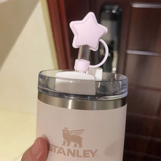 環保吸管 吸管防塵套 吸管套 適用於Stanley保溫杯配件吸管套耐熱矽膠史丹利吸管防塵塞吸管帽