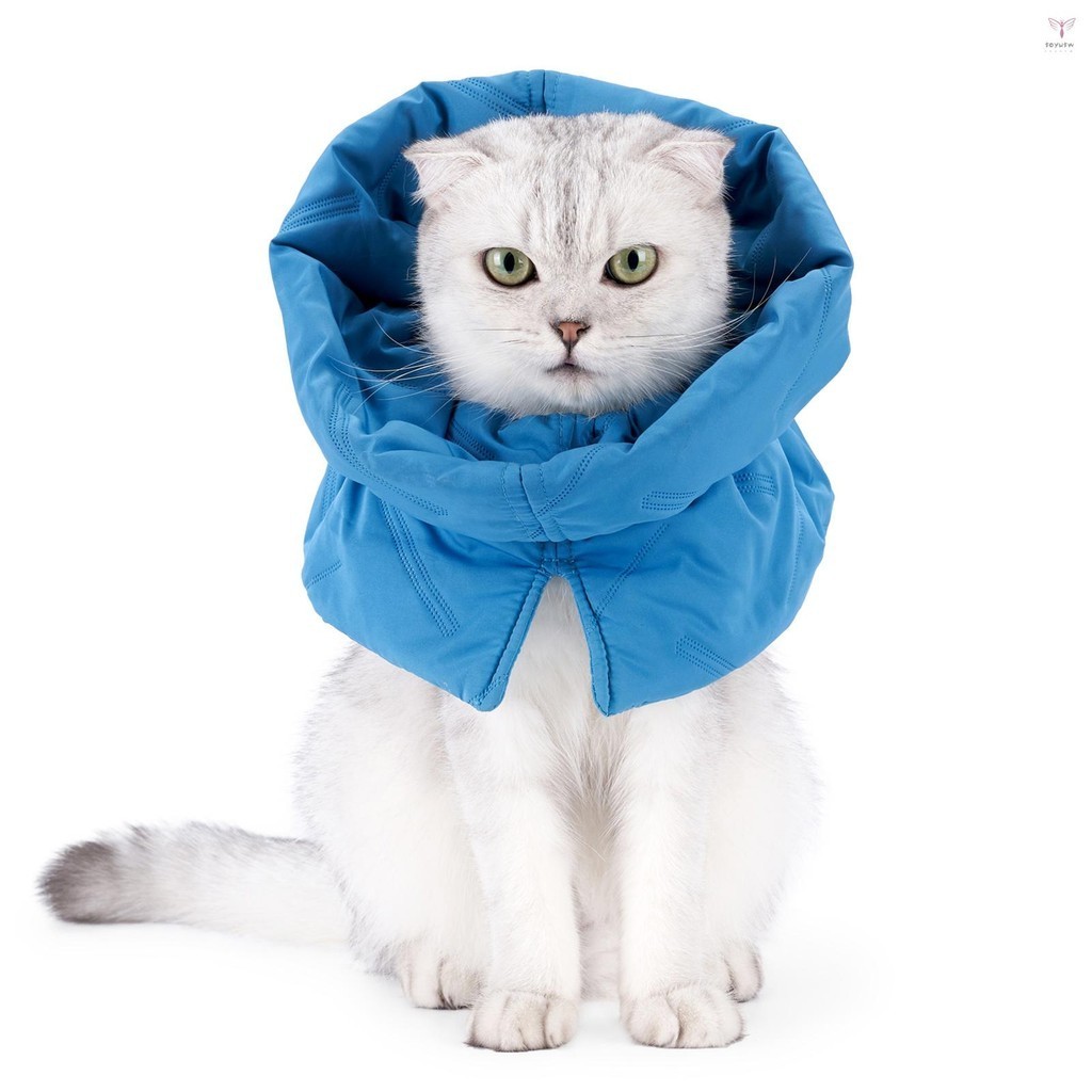 貓錐項圈停止舔可調節圍巾溫暖恢復項圈