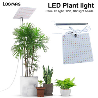 洛陽牡丹 LED植物生長燈升降全光譜量子板育苗綠植多肉植物補光燈