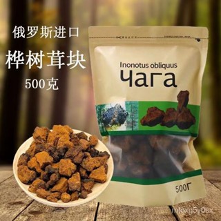 臺灣有貨【新竹出貨】🔥俄羅斯原裝進口純天然樺樹茸 野生 茶包 俄羅斯進口 樺褐孔菌西伯利亞白樺茸俄羅斯樺樹茸 送禮推
