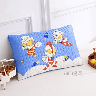 春夏兒童卡通冰絲枕頭30X50CM 親膚護頸透氣學生枕 學生午休定型枕 枕套可拆洗 小孩枕頭 乳膠枕冰涼枕YGBG