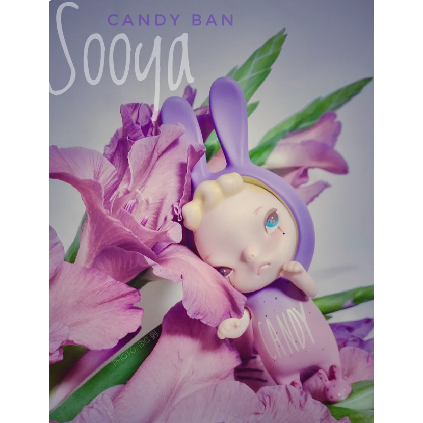 sooya 兔子的價格推薦 - 2025年9月 | 比價比個夠BigGo