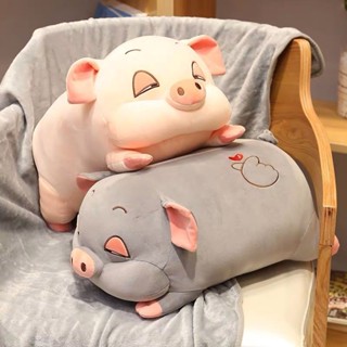 台灣出貨 小香豬玩偶 抱枕 被子 兩用床上靠墊沙發 靠枕 床頭大靠背枕頭車載 毯子 優質