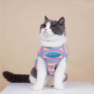 貓咪衣服夏季薄款彈力彩虹無袖背心藍貓布偶英短寵物狗狗