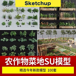 【SU模型】 農作物莊稼農業田園菜地植物燕麥水稻小麥玉米素材草圖大師 SketchUp SketchUp 設計素材