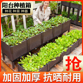 ★免運★種菜盆 花盆 種菜專用箱樓頂花箱神器長方形花盆家庭陽臺種菜盆室內蔬菜種植箱