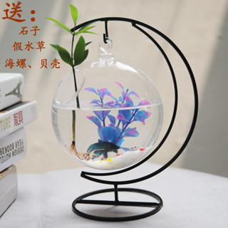 觀賞魚缸擺件禮物懸掛小魚缸迷你缸辦公桌面創意玻璃小型金魚缸水族箱 家用鬥魚缸