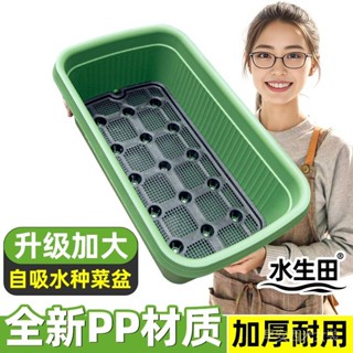 免運 【加大款】種菜專用盆家庭種菜盆神器自動吸水花盆儲水塑膠種植箱 育苗器 種菜神器 種植器 種菜機 種植箱 種菜 盆栽