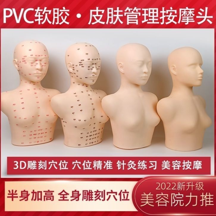 皮膚管理頭模學美容假人頭頭部模型美容模特頭臉部按摩光頭帶肩膀Dummy bald model4.25✟✠✟✠