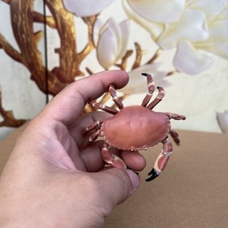 法國papo紅螃蟹模型寄居蟹昆蟲玩具擺件野生科普認知