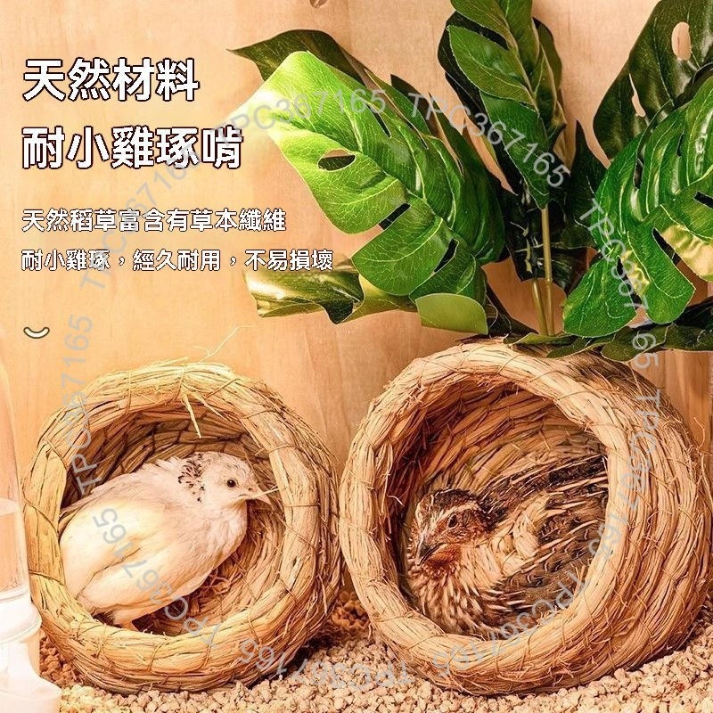 蘆丁雞草窩 草窩 雞窩 下蛋草窩 產蛋草窩 保暖雞窩 草編雞窩 鳥巢 造景用品 10241024