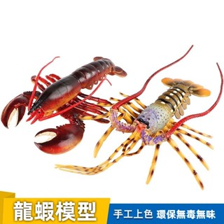 模擬龍蝦海洋生物玩具螃蟹模型雕塑波士頓龍蝦大號澳洲龍蝦兒童禮物