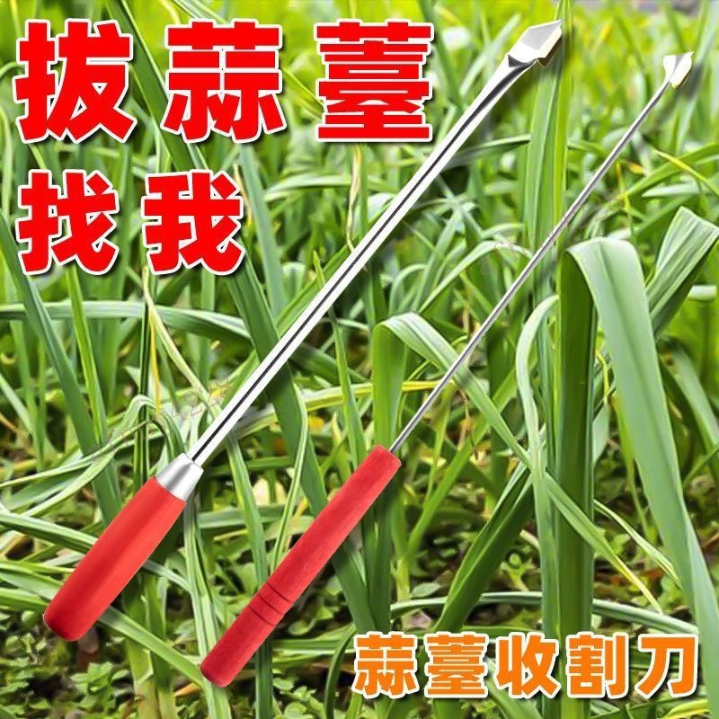 抽蒜苔剝蒜苔神器打蒜臺的工具劃蒜苔快速拔剔蒜苔提摘蒜苔收割刀