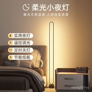 臺灣有貨【新竹出貨】北歐輕奢夜燈 led落地極簡語音遙控客廳臥室床頭臺氛圍護眼餵奶小夜