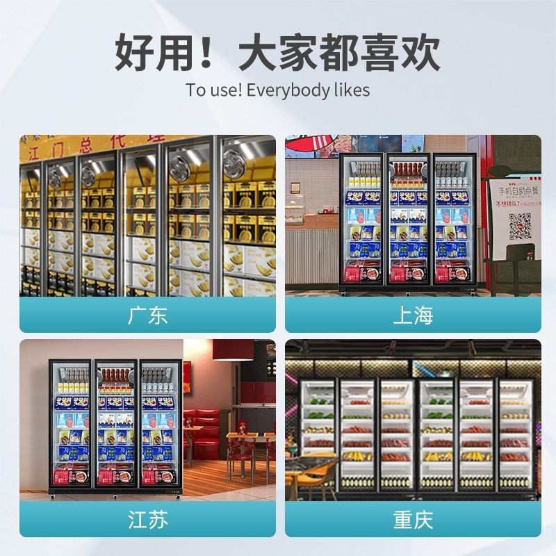 【臺灣專供】加承冷凍展示櫃商用速凍急凍肉類凍品三門立式冰箱雙門低溫冰櫃