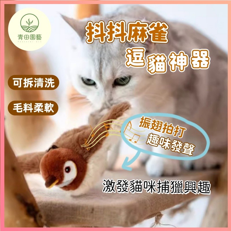 隔日達🔥電動抖抖鳥 自動逗貓玩具 不死鳥寵物玩具 寵物玩具 仿真小鳥玩具 啾啾鳥 逗貓玩具 懶人逗貓 網紅寵物玩具