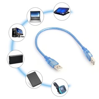 30cm 透明藍色 USB 2.0 延長線公對公 USB 延長線