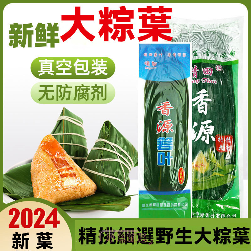 粽香四溢從葉開始！ 新鮮寬粽葉 粽子葉，真空保鮮，大號簬葉幹，端午佳節，批發更實惠！