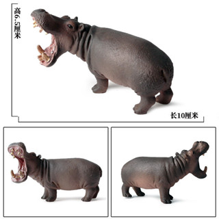 兒童科教玩具實心模擬野生動物模型河馬犀牛塑膠模型玩具動物擺件20250324