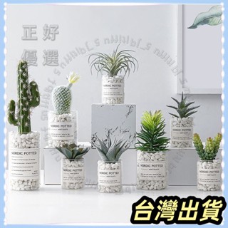 🌟臺灣發貨+統編🌟限時下殺 小紅書同款 北歐多肉模擬綠植物裝飾盆栽仙人掌創意辦公桌面假花ins風小擺件