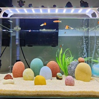 天然長江彩石 小魚缸水族造景裝飾 DIY空氣缸鵝卵石景觀擺件 魚缸造景底砂底石