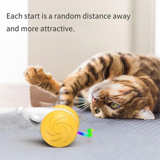 自動互動貓玩具帶避障功能的自動互動貓玩具貓玩具寵物