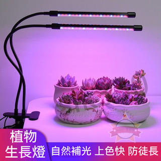 上新丨植物生長燈 室內補光燈 可定時 可調光 全光譜 光合作用 led微景觀燈 日照燈 0317 星選館