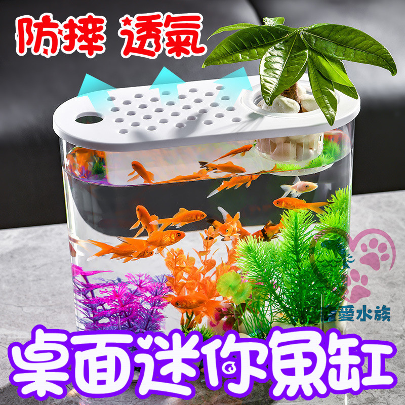 【現貨】小魚缸 生態魚缸 家用水族箱魚缸 養龜箱透明 客廳迷你中小型 金魚缸 烏龜缸