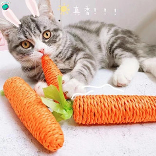 台灣現貨💟 胡蘿蔔磨牙棒 天竺鼠 鸚鵡 龍貓 黃金鼠 倉鼠 兔子 寵物磨牙棒 寵物玩具 天然磨牙玩具 啃咬玩具