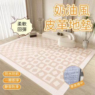 加厚地墊地毯 可訂製 現代簡約北歐ins風地毯 客廳極簡高階輕奢沙髮茶幾毯日式臥室地墊 防水防摔免洗地毯 客廳地毯
