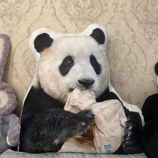 📣 哆哆購 - 福寶熊貓定製抱枕週邊靠墊明星毛絨動漫二次元定製可愛抱枕靠枕