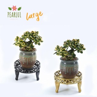PEARL01植物金屬支架,4種顏色金屬花盆托盤,花園用品圓形板架支架