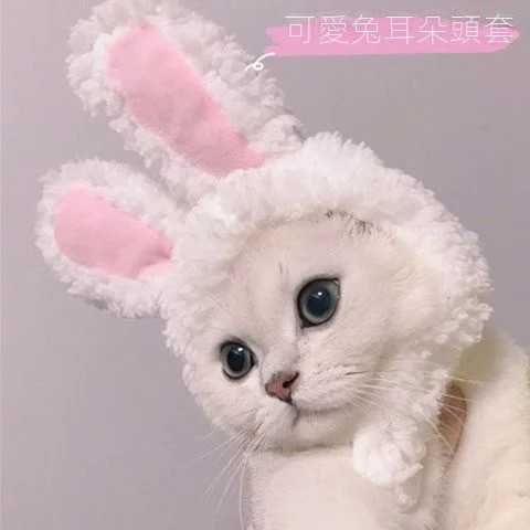 *QY pet life*tiktok網紅寵物貓咪兔子耳朵頭套 寵物可愛兔耳朵頭套 保暖帽子 兔耳頭套 兔耳帽子 可愛搞
