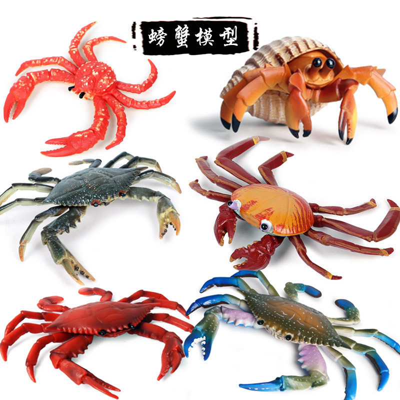 仿真動物模型實心海洋螃蟹莎莉蟹寄居蟹梭子蟹三點蟹塑膠模型玩具