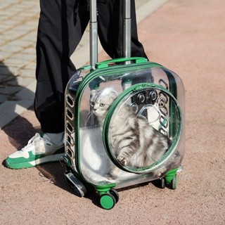 大容量泡泡箱貓包拉桿箱貓咪便攜透明寵物狗保暖太空艙寵物箱