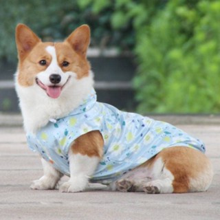 免運✨狗狗衣服 寵物衣服 寵它泰迪博美小狗雨衣薄款寵物兩腳雨衣柯基小型犬寵物衣服